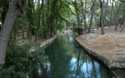 Parque de San Vicente en Llíria: bosque, fuentes y merenderos para el día entero