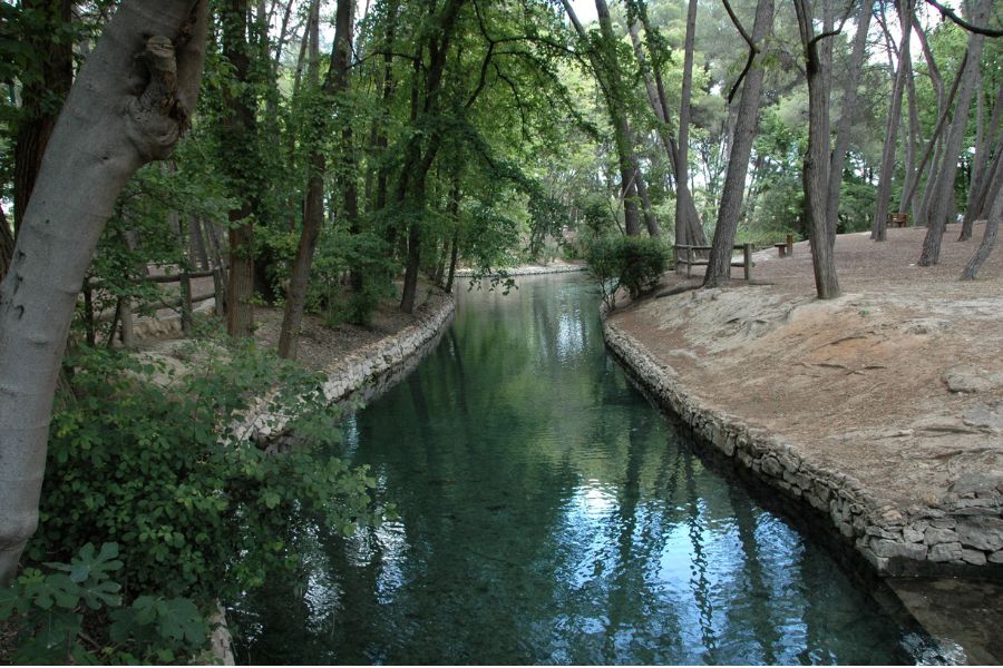 Parque de San Vicente en Llíria: bosque, fuentes y merenderos para el día entero