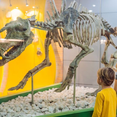 Museos en Valencia con los niños LA TRIBU.ES