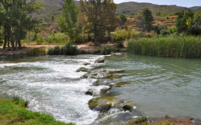 Playa fluvial de Bugarra: bañarse en el río Turia con niños